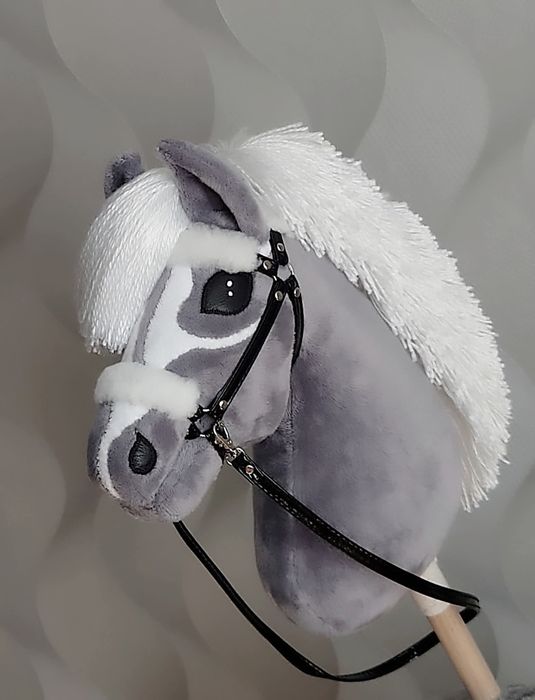 Hobby horse konik