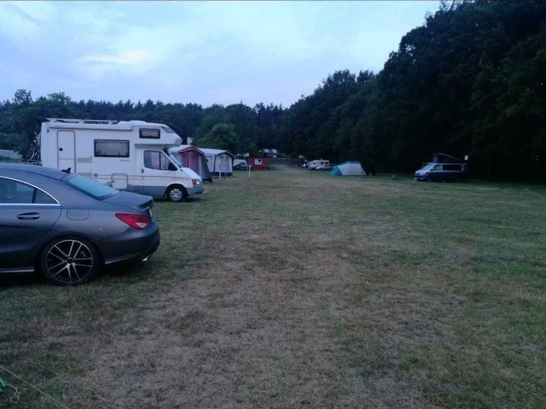Pole namiotowe Jastrzębia Góra nad samym morzem