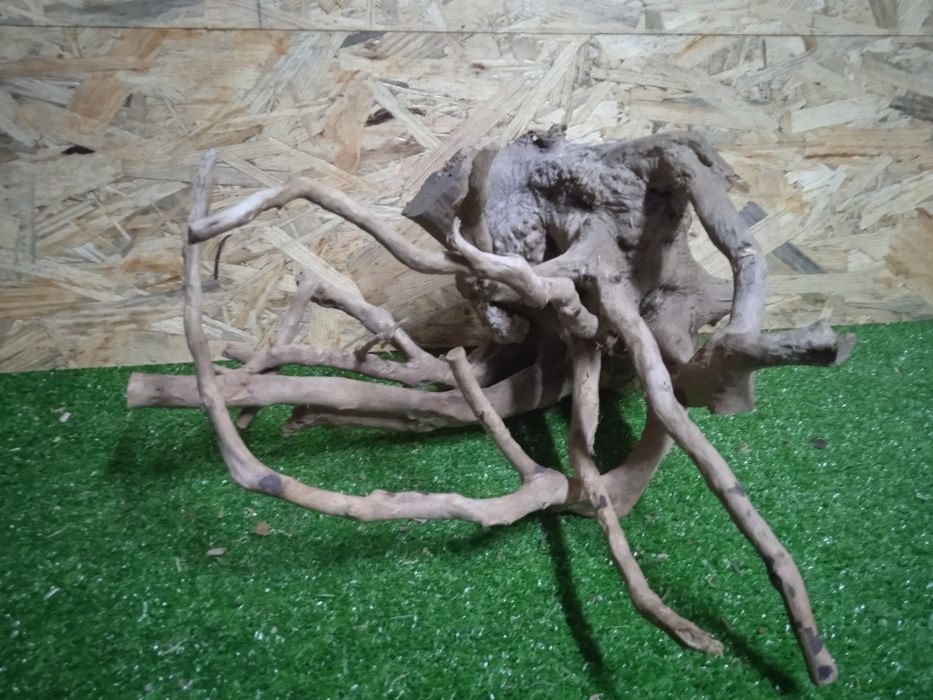 Korzeń do akwarium Red Moore Wood nr 726 o wymiarach 36/24/35