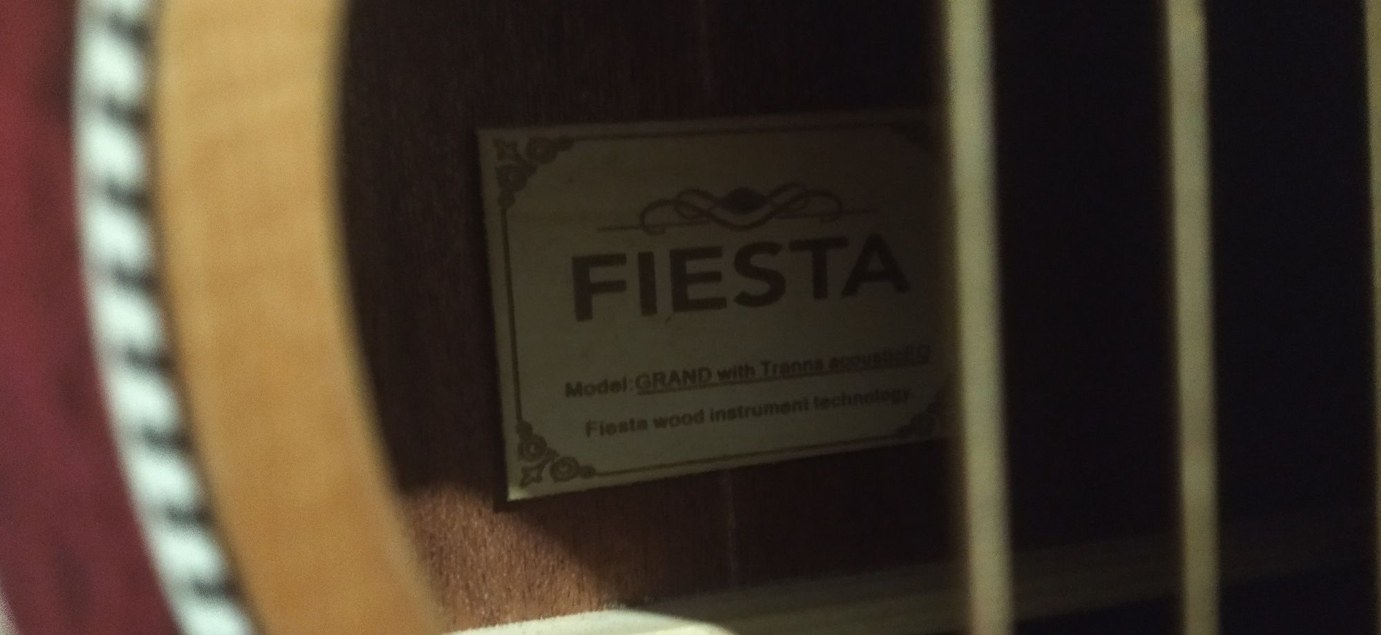 Трансакустична гітара Fiesta з блютуз