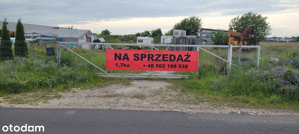 Działka Rokietnica 1,7 ha AG - Bez Pośredników - NOWA NIŻSZA CENA