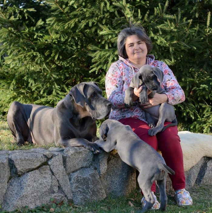 Племенные щенки из питомника. В родословной лучшие европ.производители