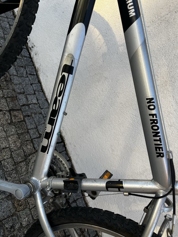bicicleta-(team)