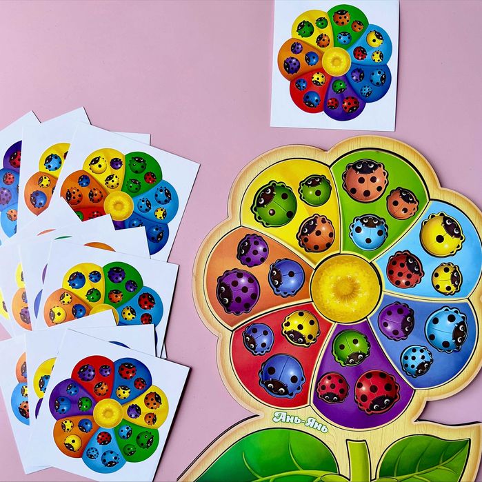 Sorter z kartkamy "Kwiat sedmiopłatkowy-2"