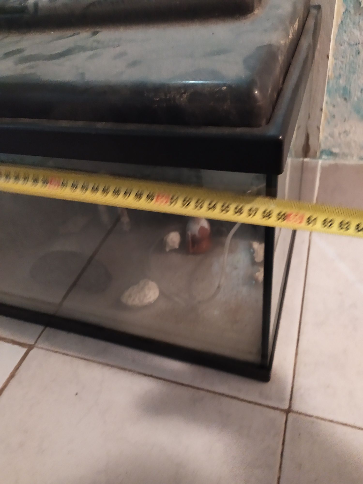 Aquário de 60 cm
