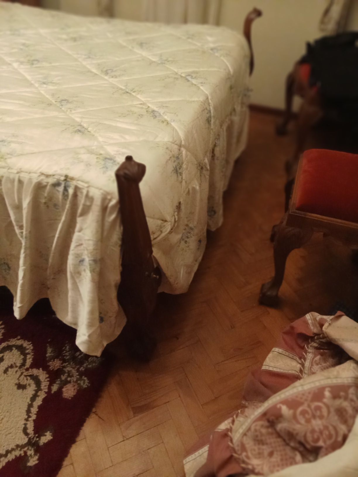 Quarto de castanho D.Joao V.
