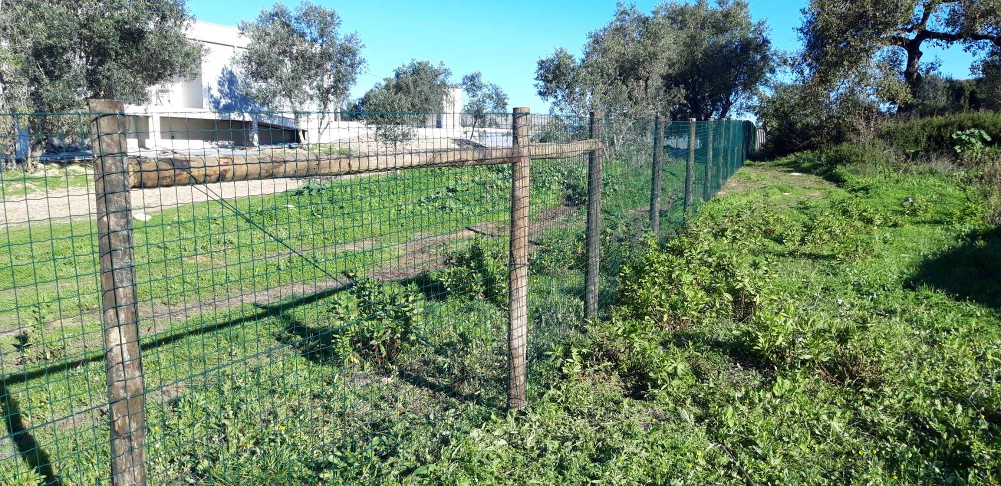 Limpezas de terrenos florestais vedações construção de muros em betão