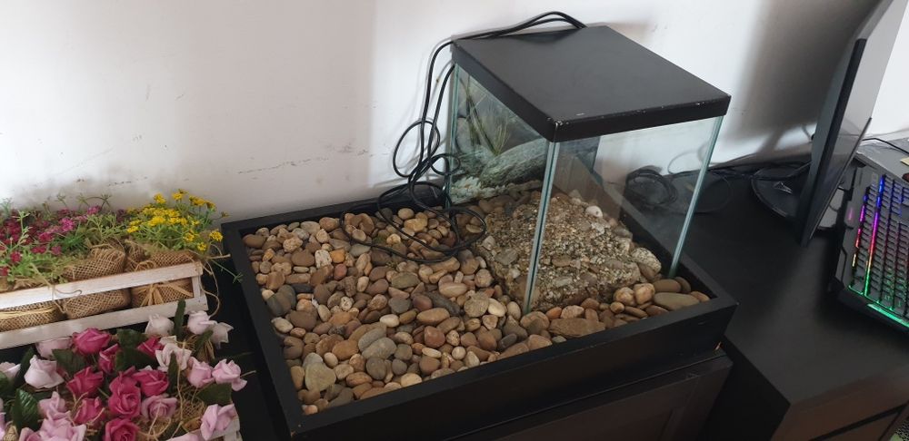 Vendo Aquario para peixes
