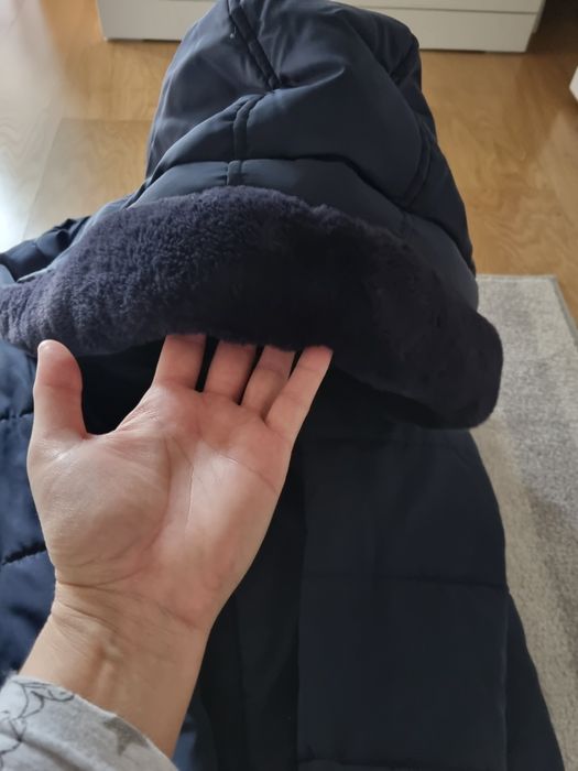 Kispo mayoral tam.14