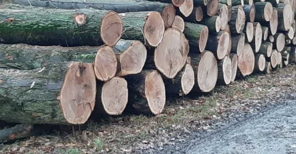 Drewno drzewo kominkowe opałowe wałki kłoda Grab Dąb Buk Brzoza Olcha