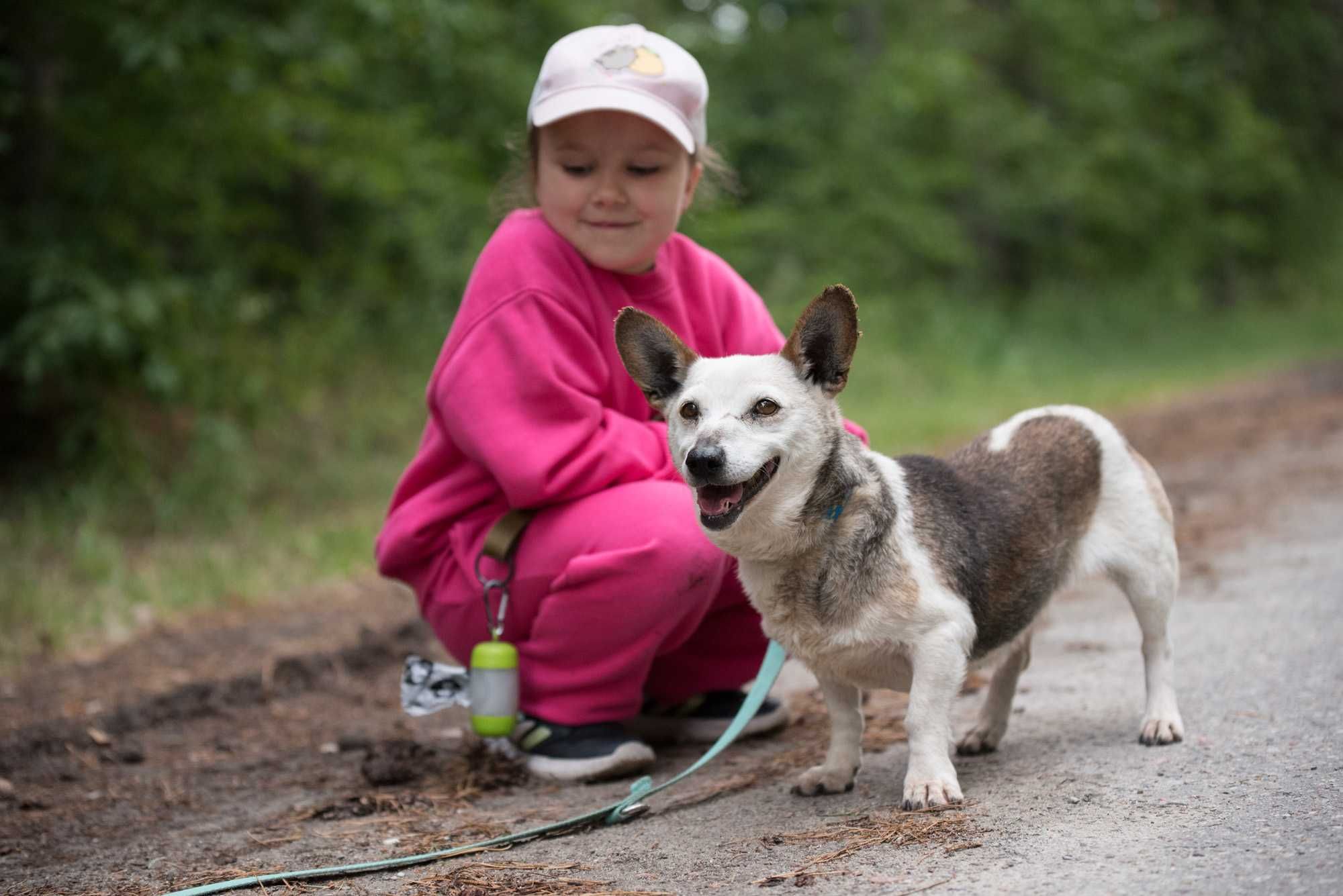 LOJA - cudowna dojrzała łagodna sunia do adopcji