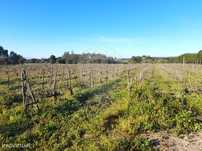 Terreno  para venda