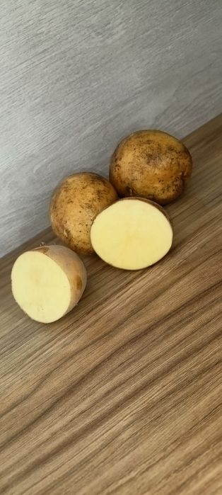 Sprzedaż ziemniaków odmiana żółte Soraya