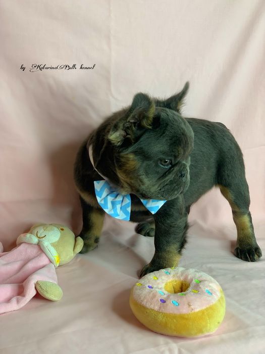 Мини танчик Пику