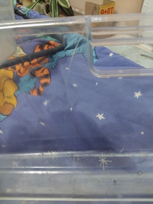 Ящики для холодильника морозилки Snaige