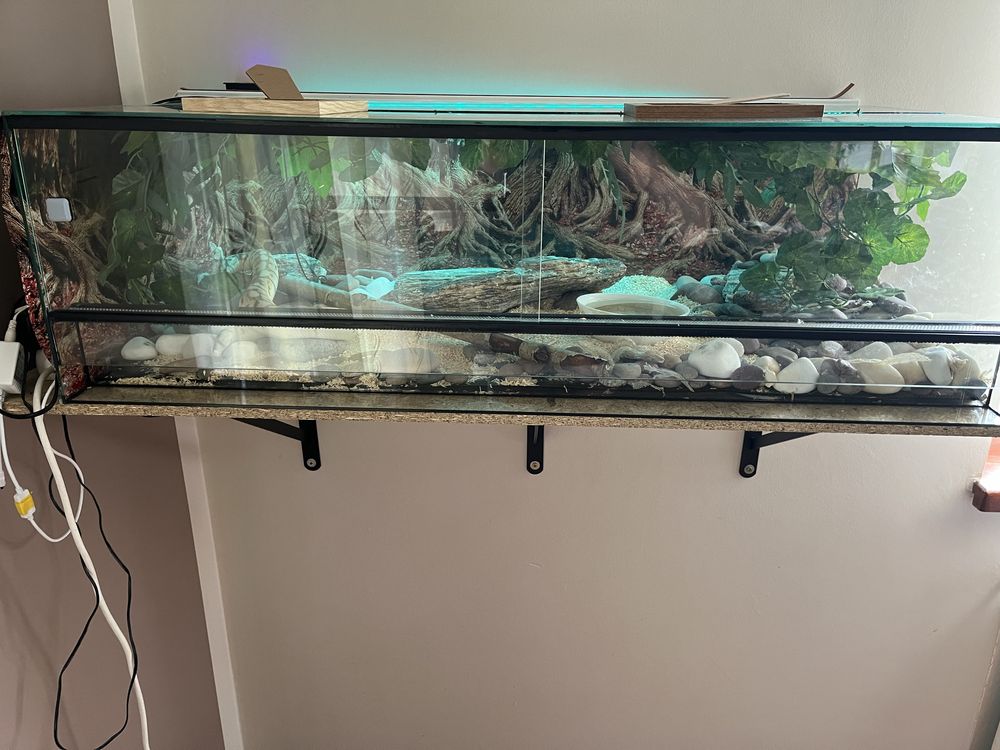 Terrarium  dla węża