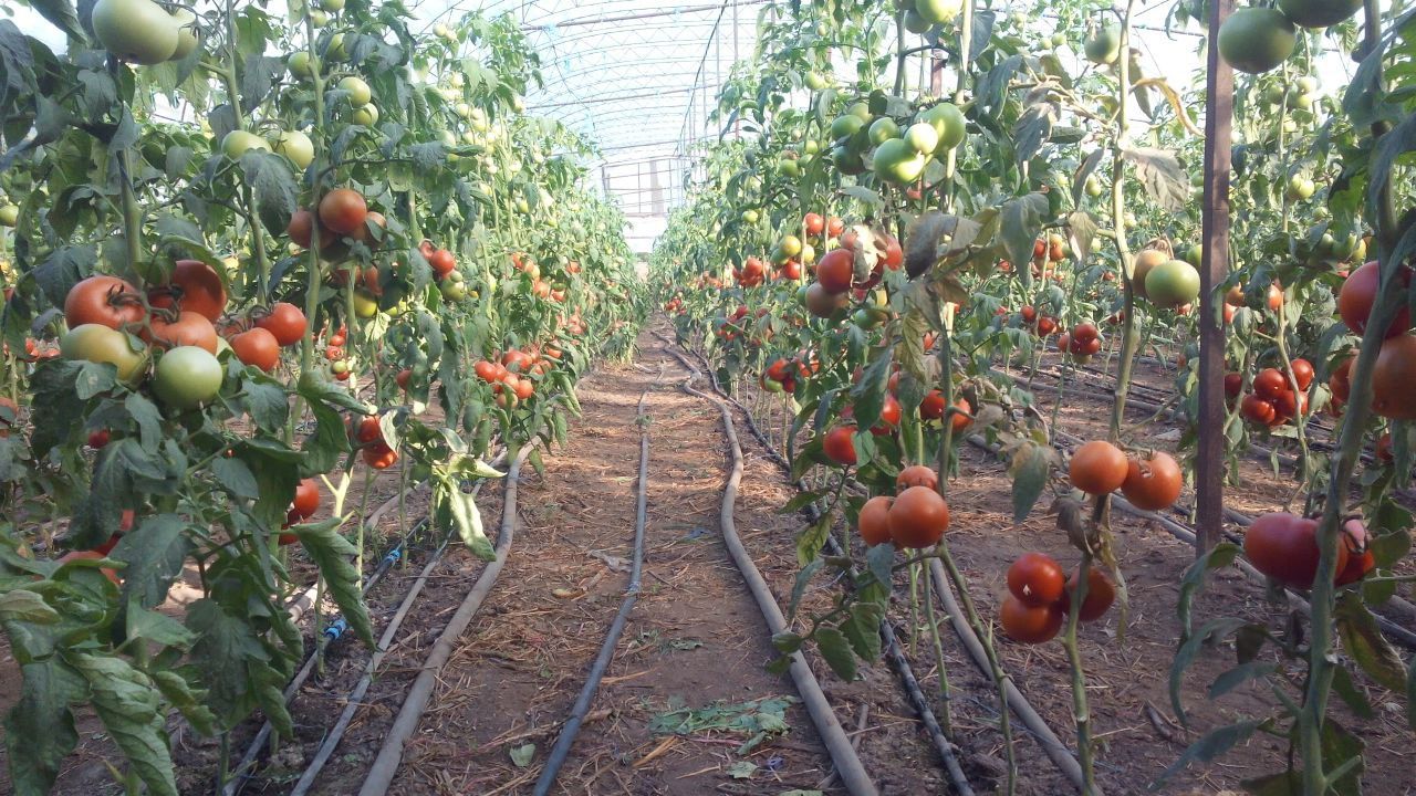 Продам дом со всеми удобствами,Перещепино .Собственикещепино