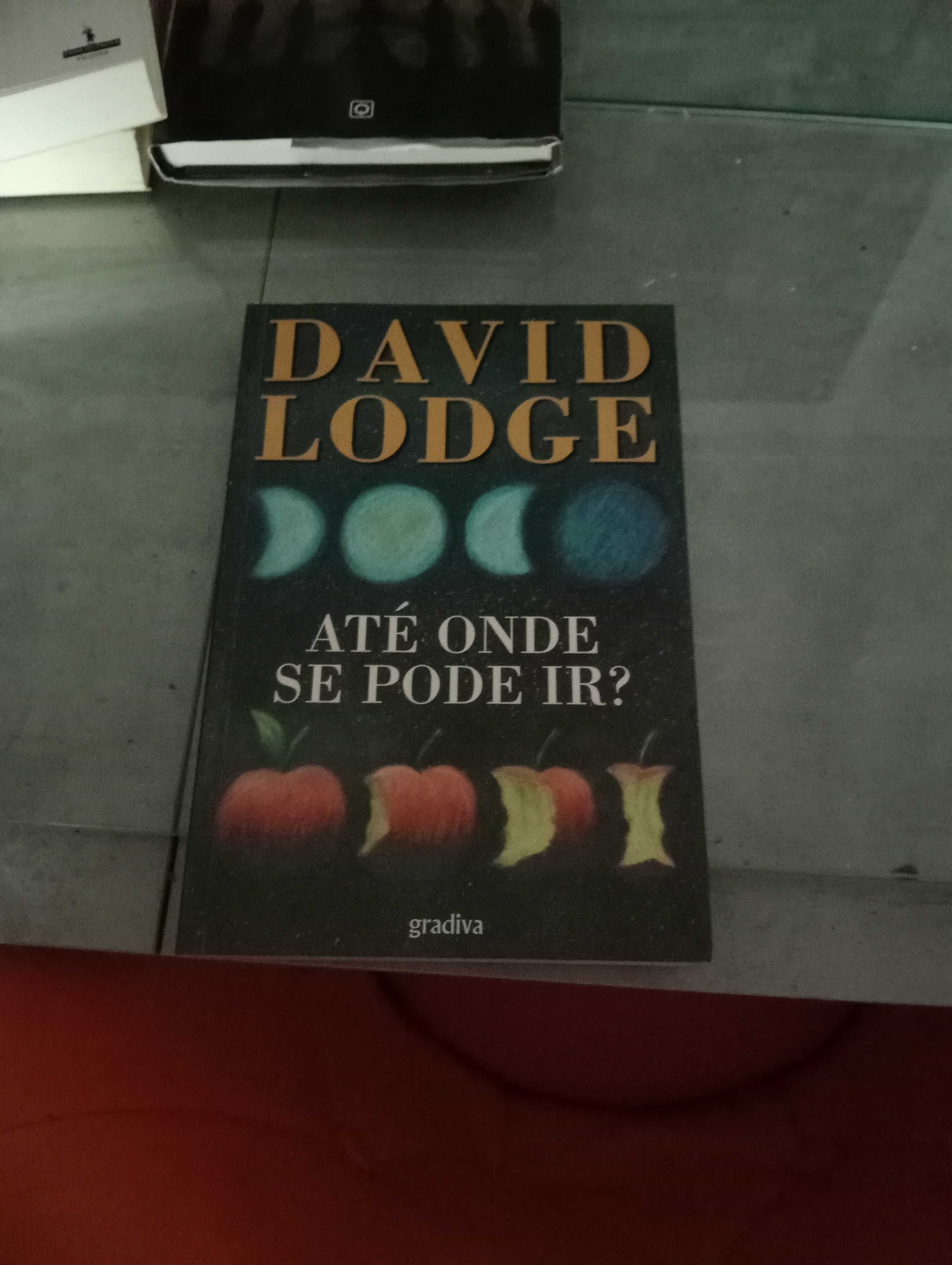 Livro até onde se pode ir