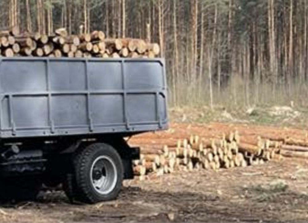 Продам дрова 800-850 Володимирець