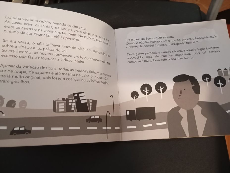 Livro " As cores da cidade cinzenta"