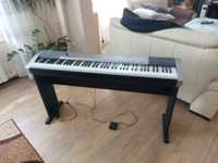 Pianino cyfrowe Keyboard Casio CDP-130