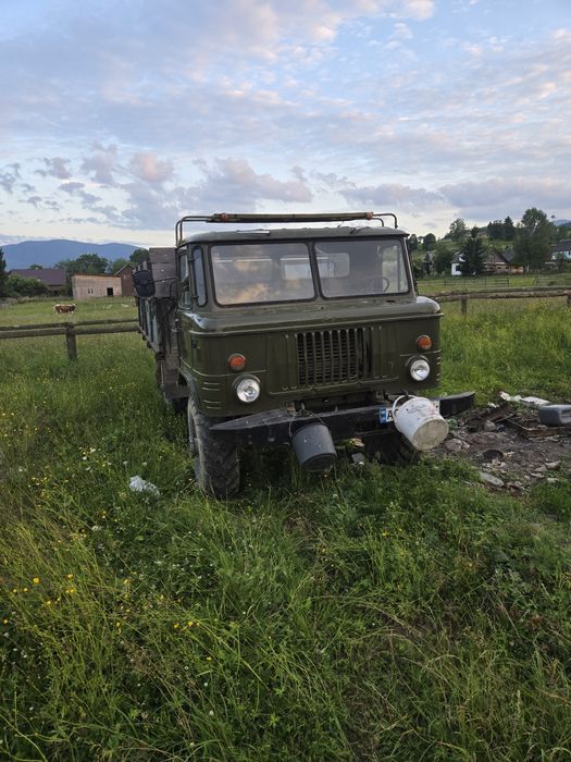 Продам живий газ 66