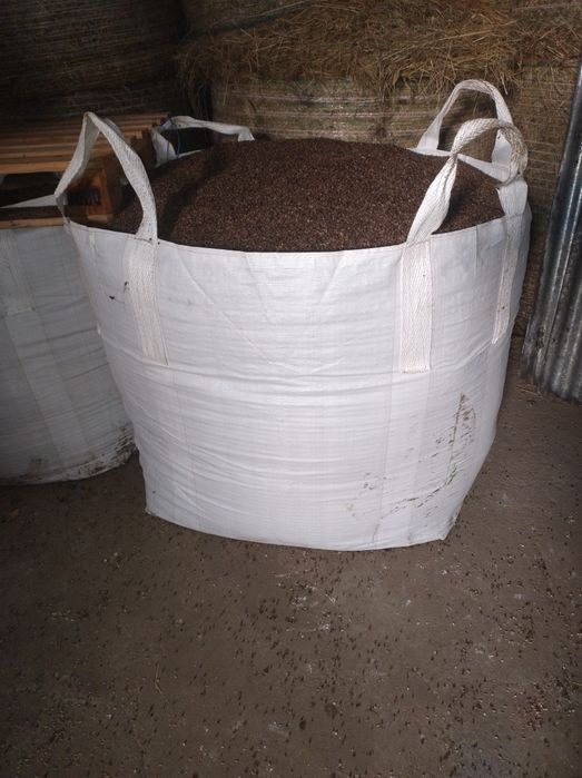 Gryka, tatarka ekologiczna