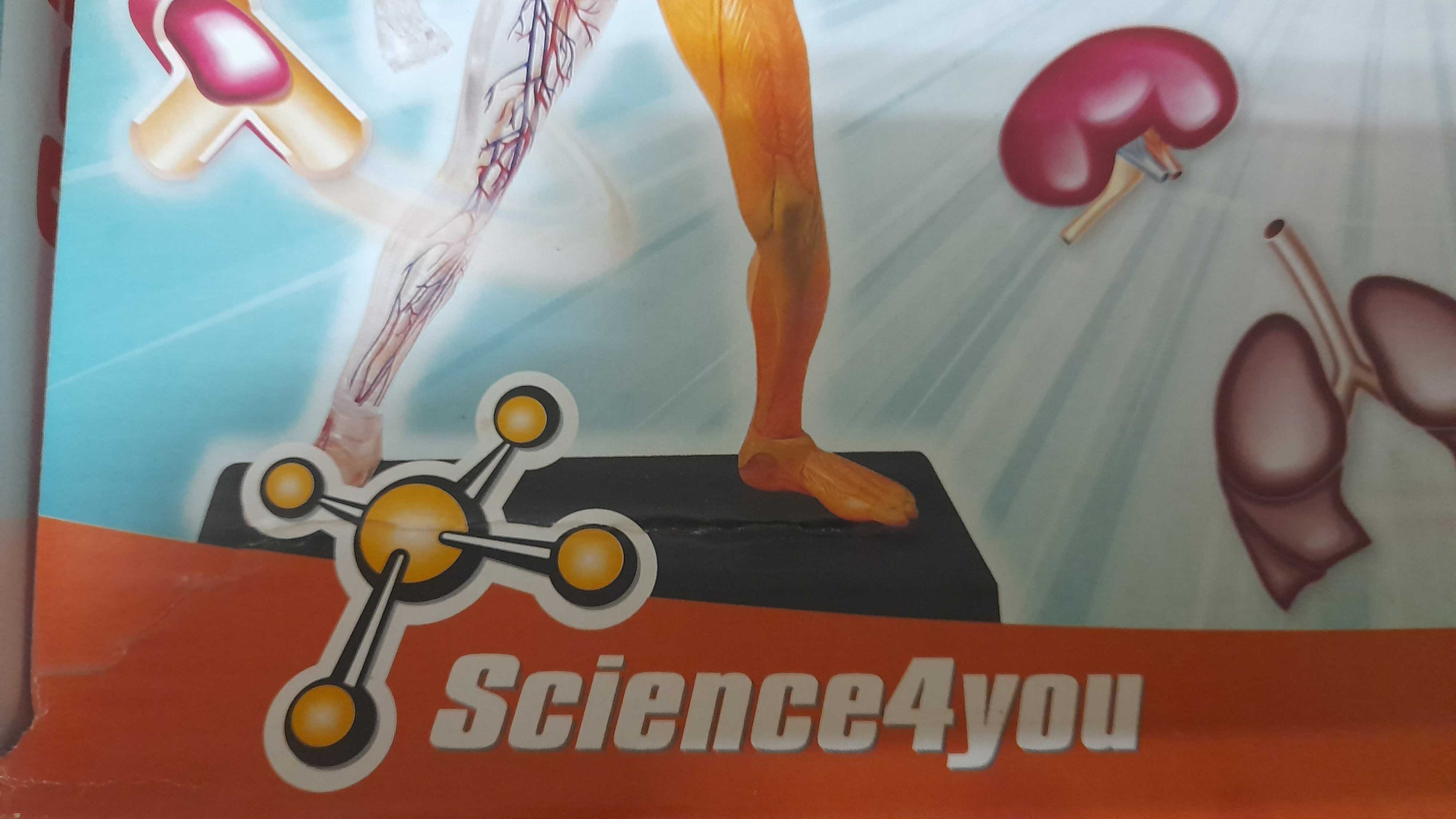 "Corpo Humano" - Science4you