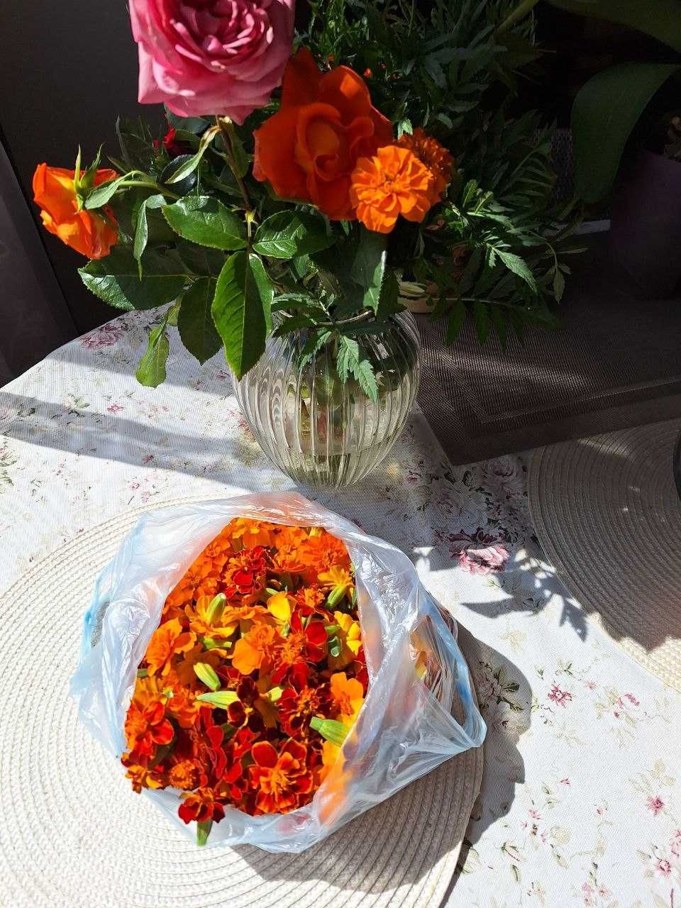 Чернобривцы (Бархатцы) цвет