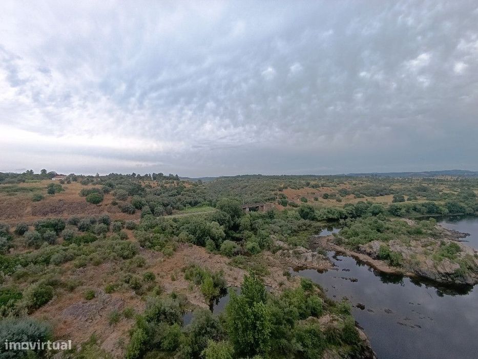 Quinta / Herdade em zona de Mouriscas, Santarém