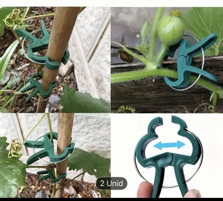 Molas para suporte de plantas