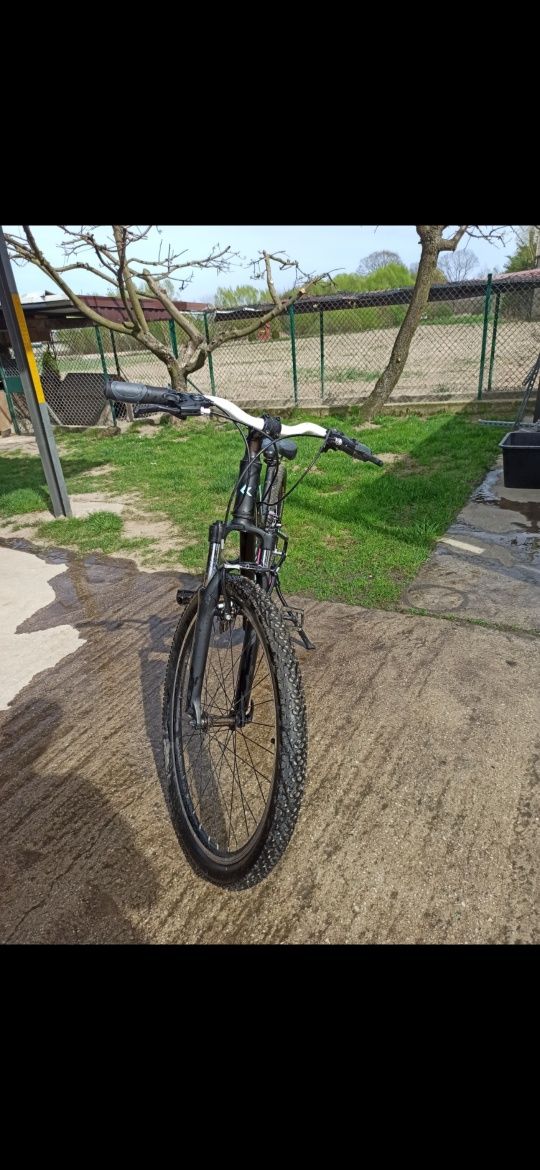 Rowery Traffic Dynamic oraz kross black edition L1