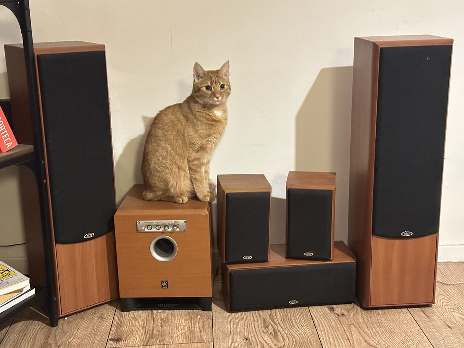 Amplituner Yamaha HTR-5630RDS i głośniki Etax Discovery 5+1