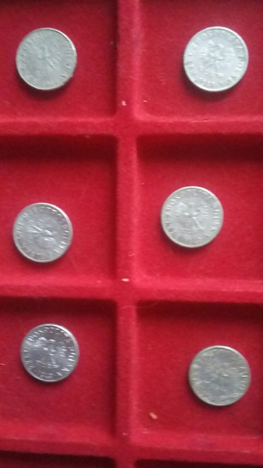 zestaw monet groszy PRL