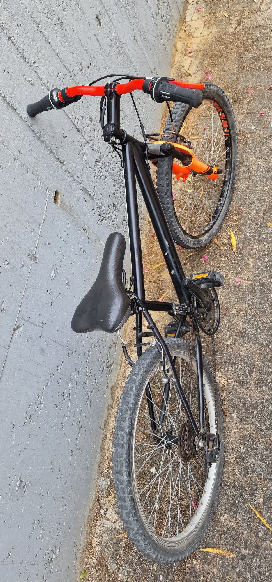 Bicicleta roda 24