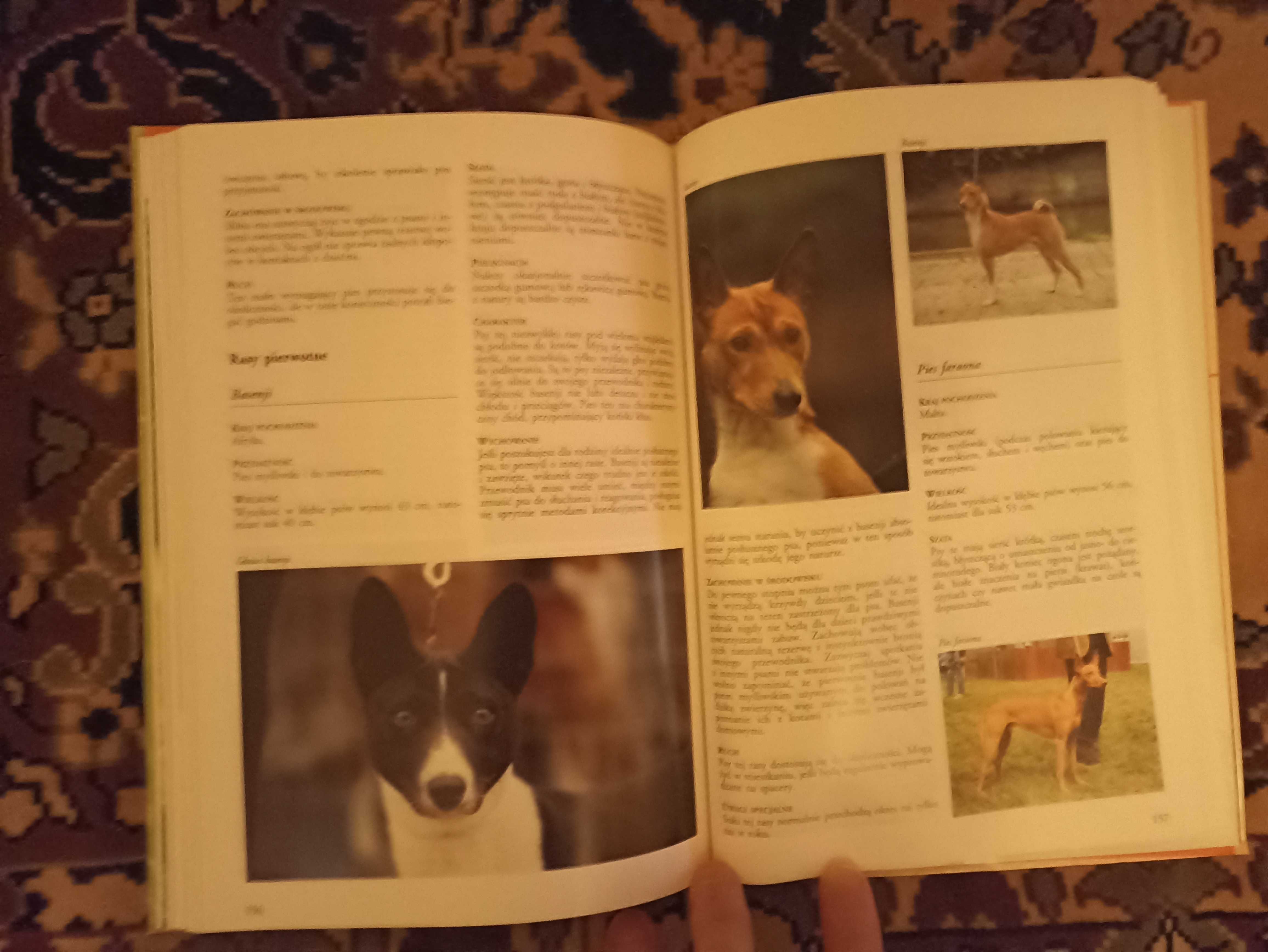 Książka "Encyklopedia psów"