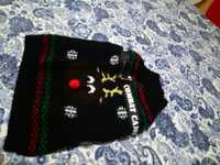 sweterek dla małego psa typu maltańczyk do 4 kg, świąteczny