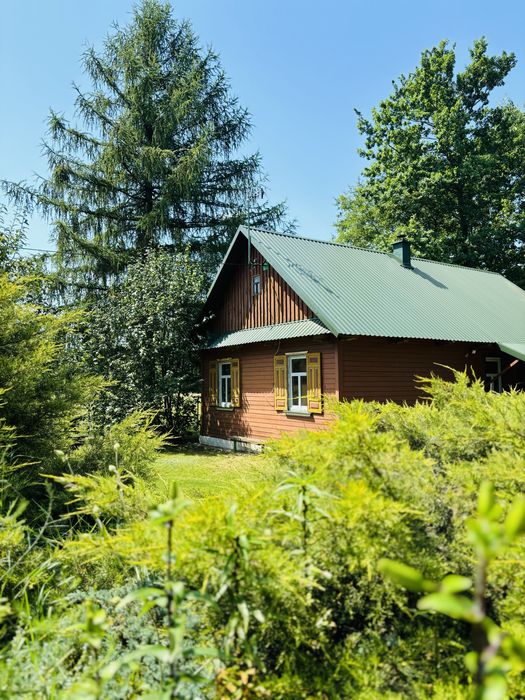 Chata na Podlasiu. Domek w lesie