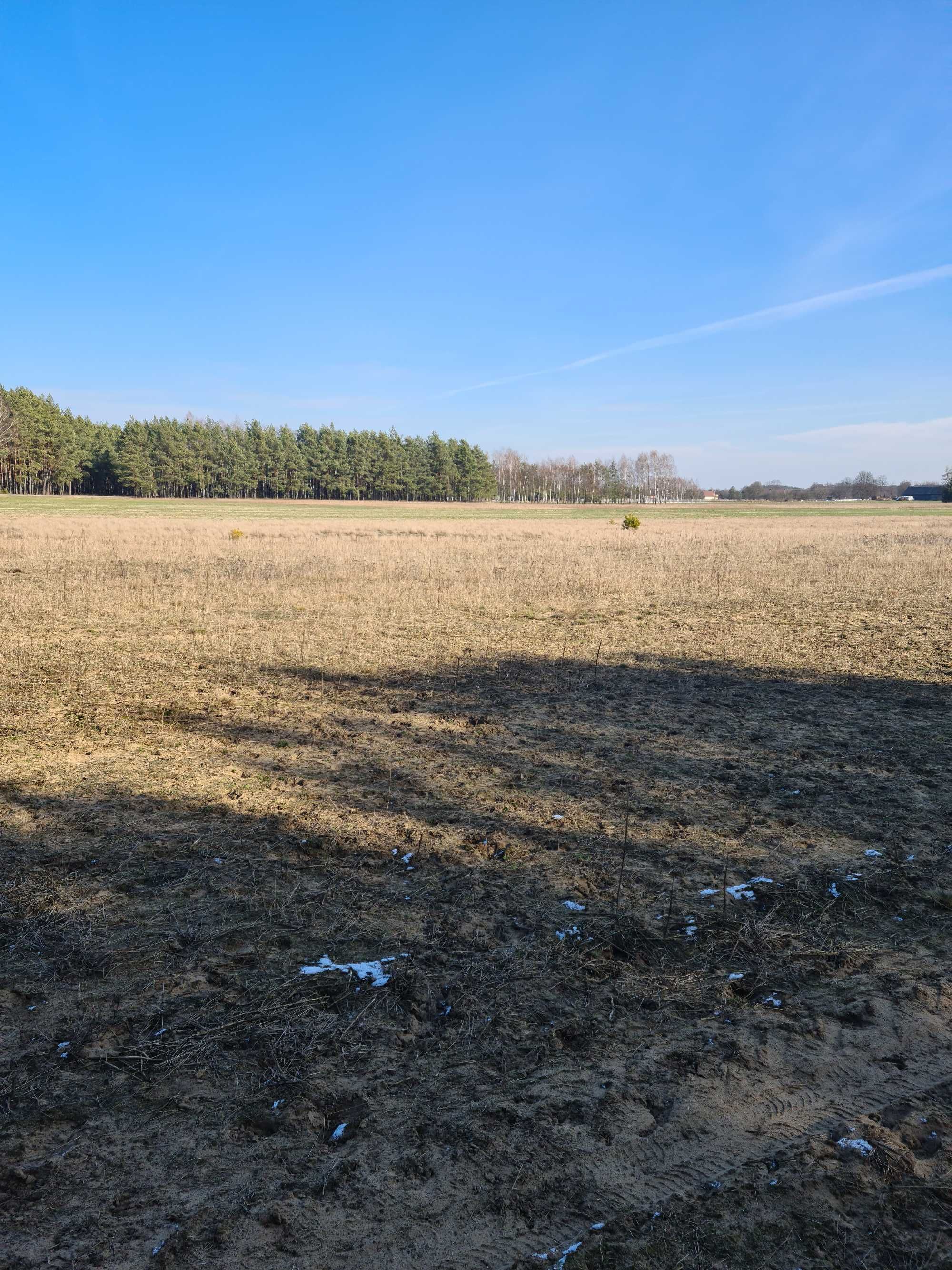 Działka letniskowa 1829  metrów Jurgi  gm. Goworowo 100 km od Warszawy