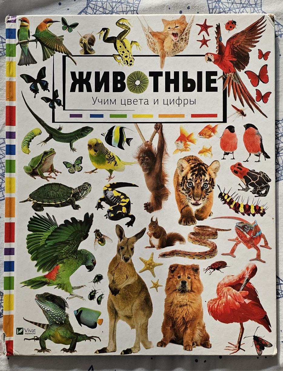 Книжка "Животные: учим цвета и цифры", вид-во Vivat