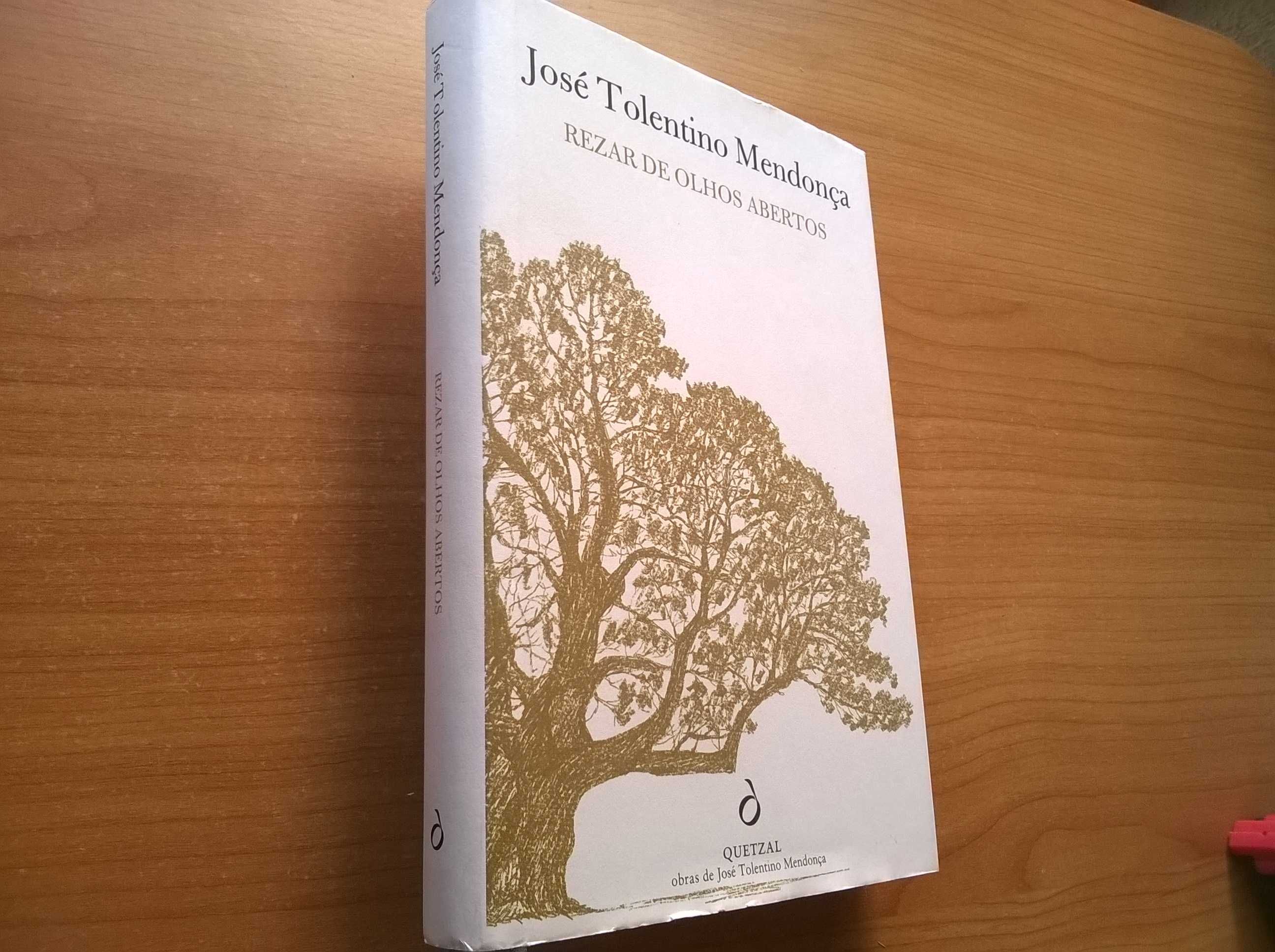 Rezar de Olhos Abertos - José Tolentino Mendonça