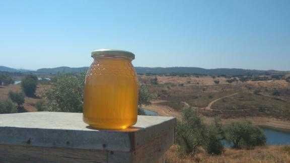 Mel puro de Rosmaninho, do Alentejo, diretamente do apicultor