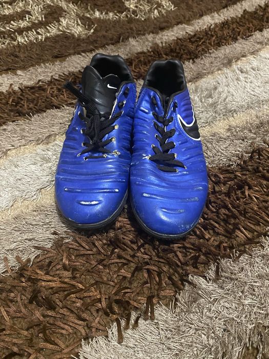 Сороконіжки олх