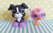 Littlest Pet Shop LPS unikatowy zestaw pies Bokser i kaczka