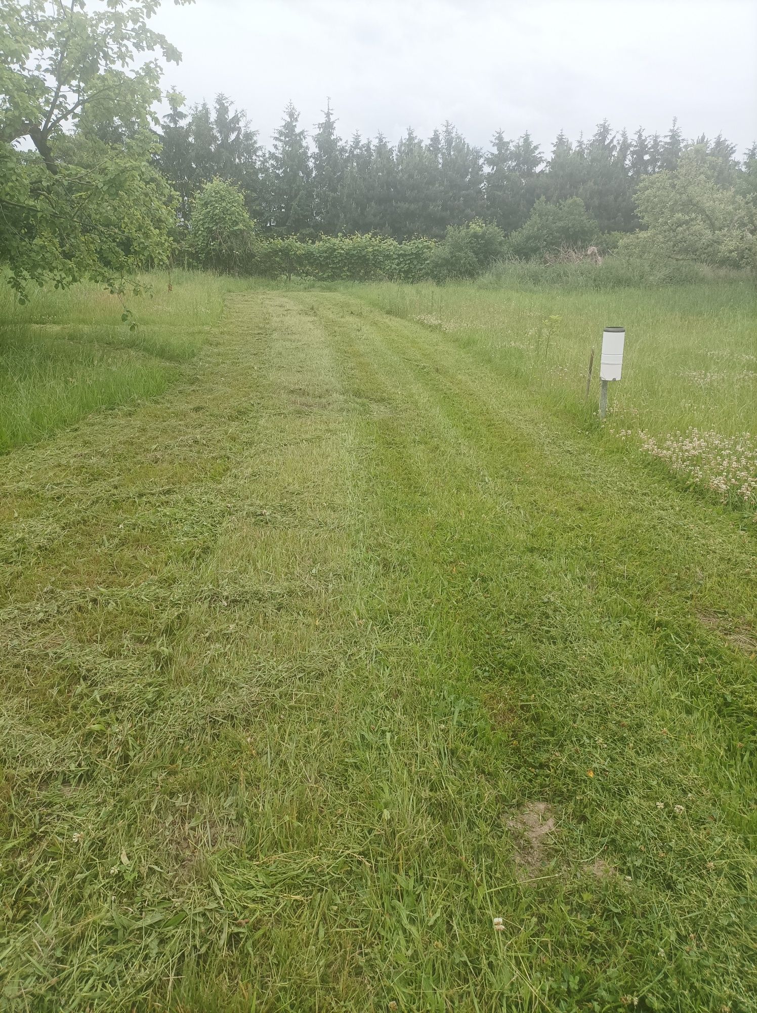 Usługi - Wynajem -Glebogryzarka Spalinowa-Narzedzia Ogrodowe...