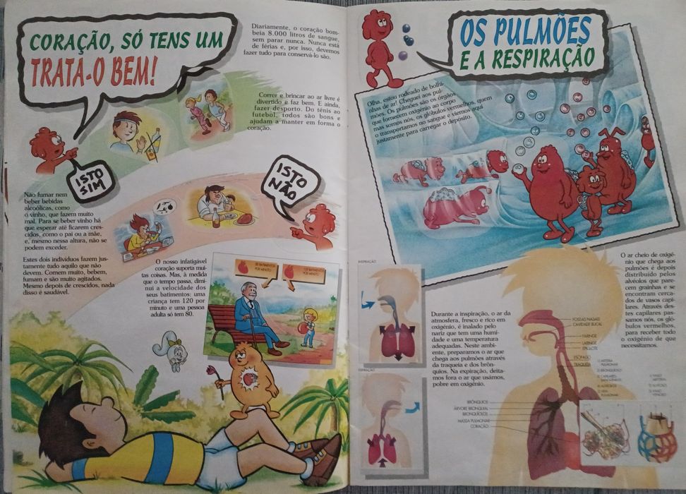 Coleção de livros O Corpo Humano