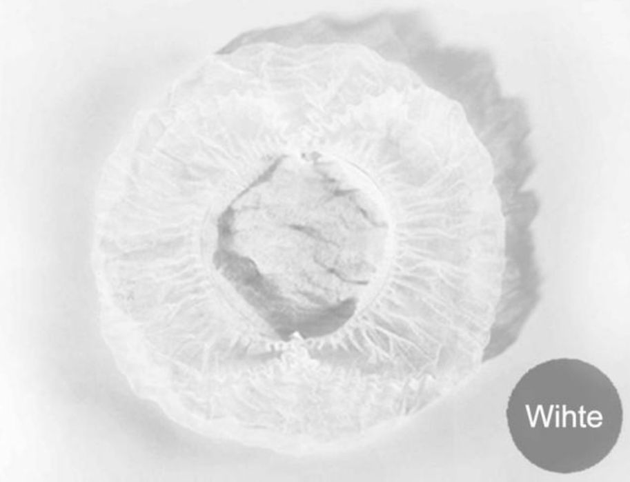 Touca descartável com e sem pala Emb 100 uni