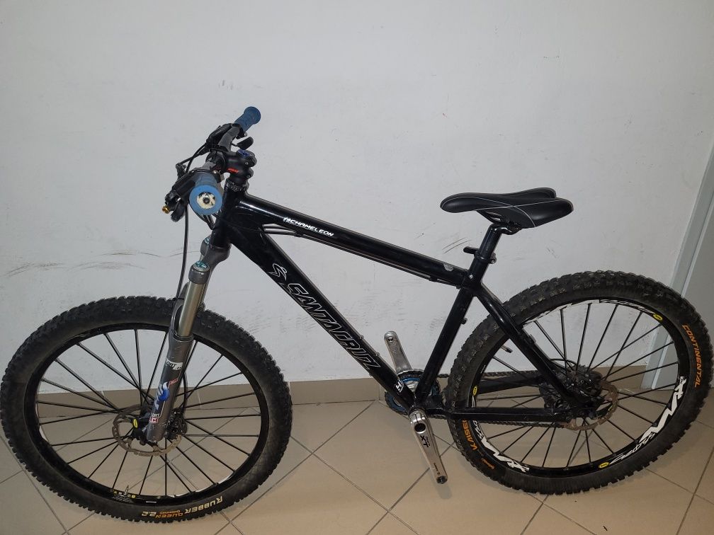 Santa Cruz Chameleon