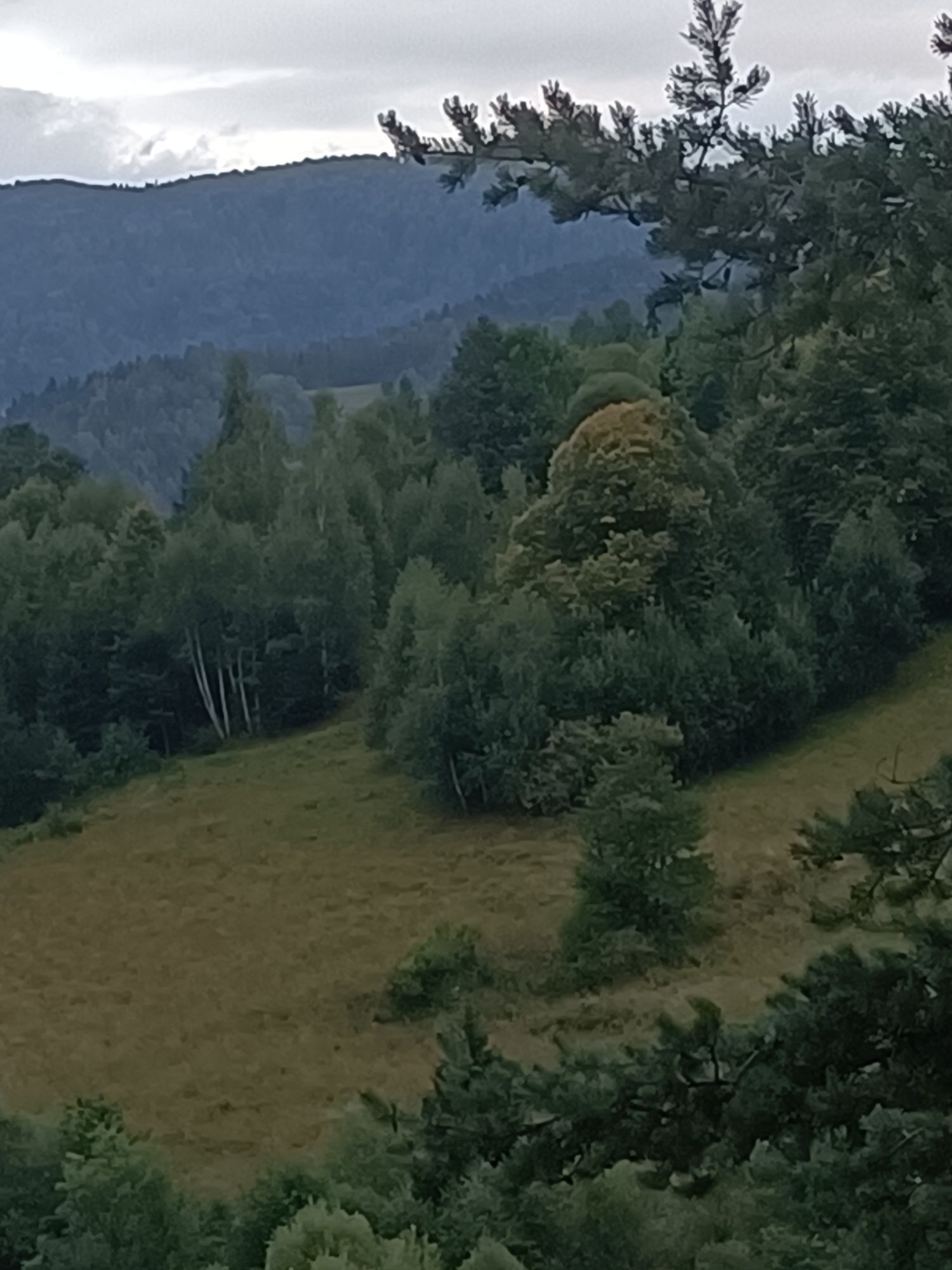 Wynajem domków Domki Pod Sosnami w Ochotnicy