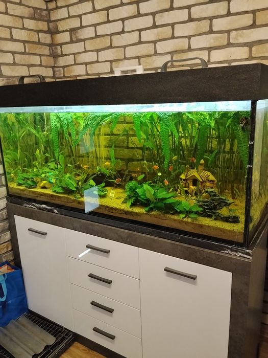 Akwarium 550L 60x150x60